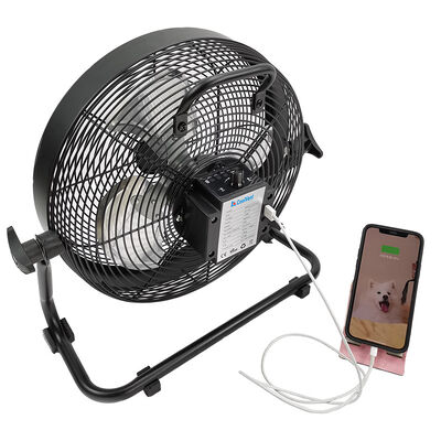 Geel de Ventilatorsgelijkstroom Herladen Draagbare 12inch van de KCoolVentk12df Industrieel Vloer/Zwarte