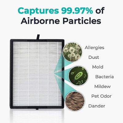 Industriële de Luchtfilter van de Vochtigheidshoningraat/Geactiveerde Koolstofhepa Filter